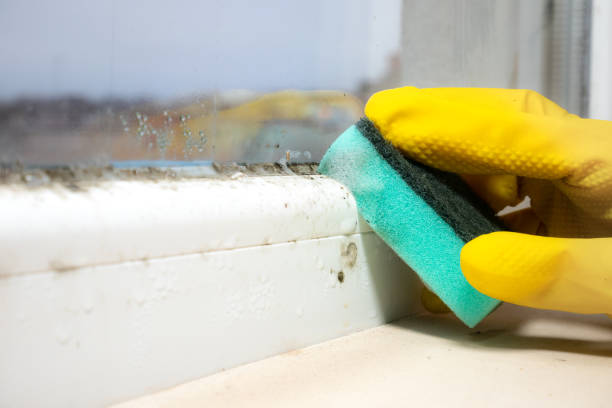 Best Mold Damage Repair  in Devon, PA